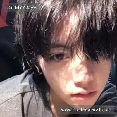 晏清飚